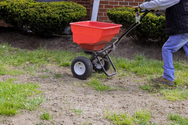 Growing Healthy Lawns- Turf Management in Louisiana and Mississippi