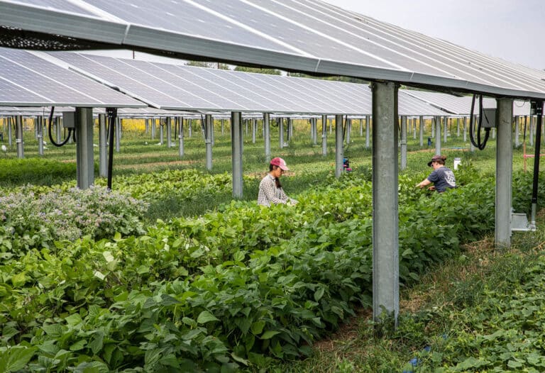 Solar Power on the Farm